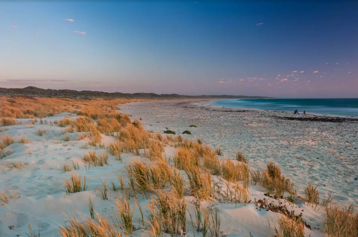 Scenic view of grass-covered sand dunes at Atlantis Beach.